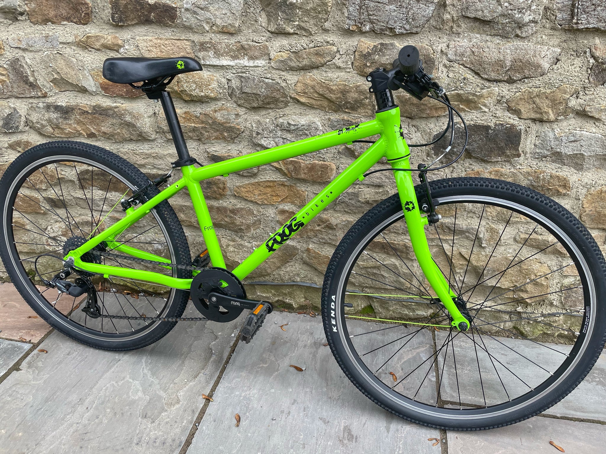 green frog bike